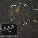 Wszczepiono nanosilniki do ludzkich komórek