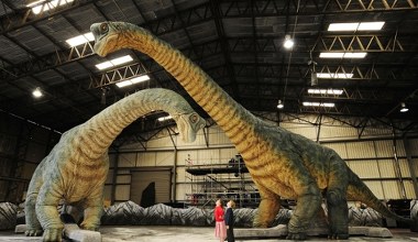 Wszyscy popełniamy kardynalny błąd. Patrzenie na dinozaury trzeba zmienić