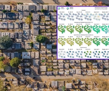 Wszystkich Świętych 2024: Jaka pogoda na 1 i 2 listopada? Wiatr nie odpuści