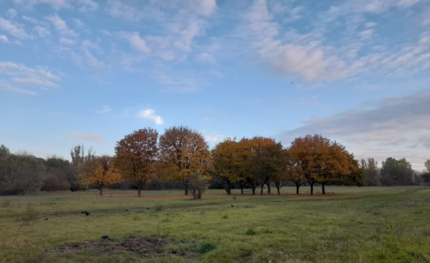 Wszystkich Świętych: Jaka będzie pogoda? 