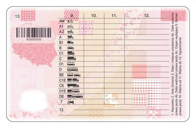 Wszystkie dotychczas wydane prawa jazdy pozostaną ważne do wskazanego na nich terminu /Ministerstwo Infrastruktury /Materiały prasowe