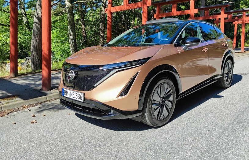 Wszystkie nowe samochody Nissana w Europie będą elektryczne. /Krzysztof Mocek /INTERIA.PL