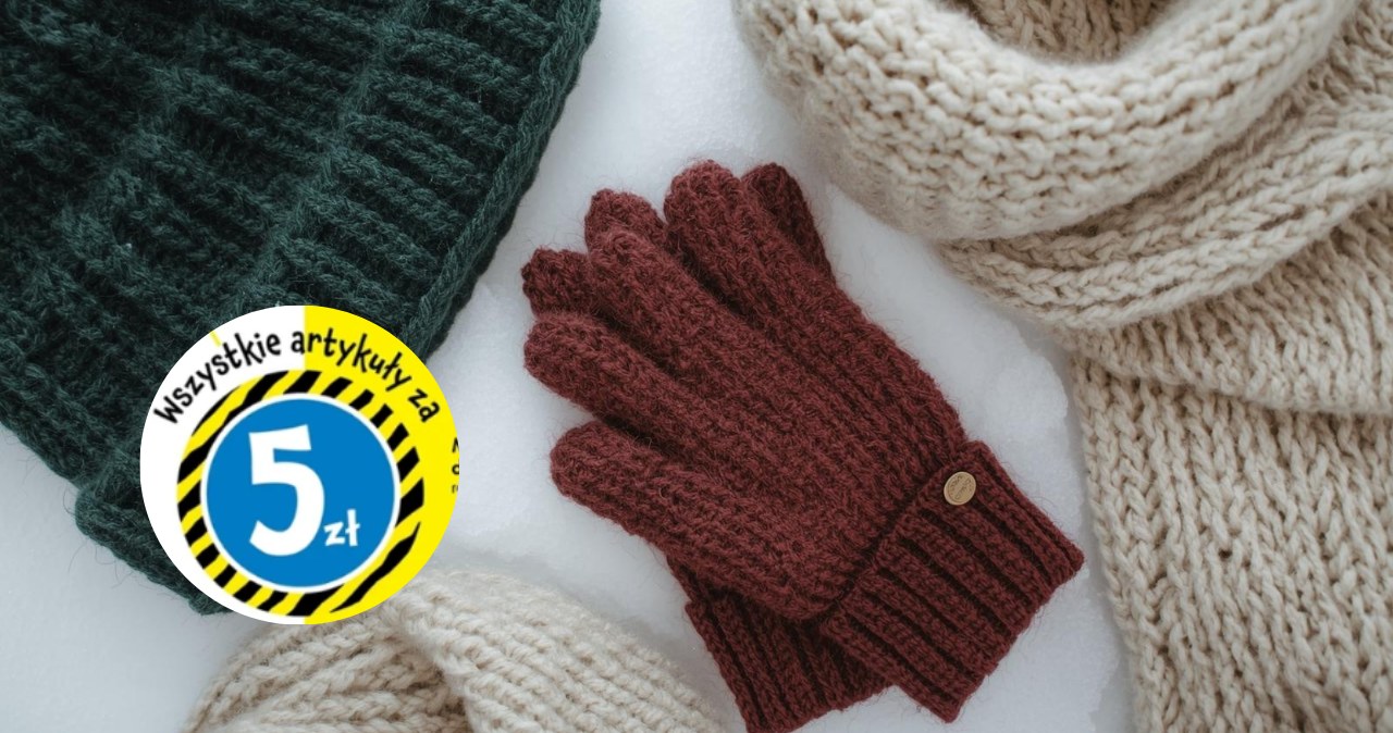 Wszystko po 5 zł! TEDi pokazuje, jak tanio przygotować się na chłody /Canva Pro /INTERIA.PL