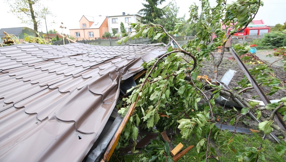 Wszystko przez… bałagan w papierach. /Tomasz Wojtasik /PAP