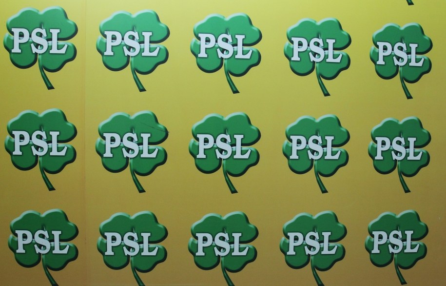 Wszystko wskazuje na to, że nie będzie wyborczej koalicji wyborczej Polskiego Stronnictwa Ludowego z Kukiz'15 / 	Radek Pietruszka   /PAP