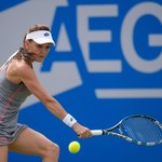 WTA Nottingham: Agnieszka Radwańska przegrała w półfinale