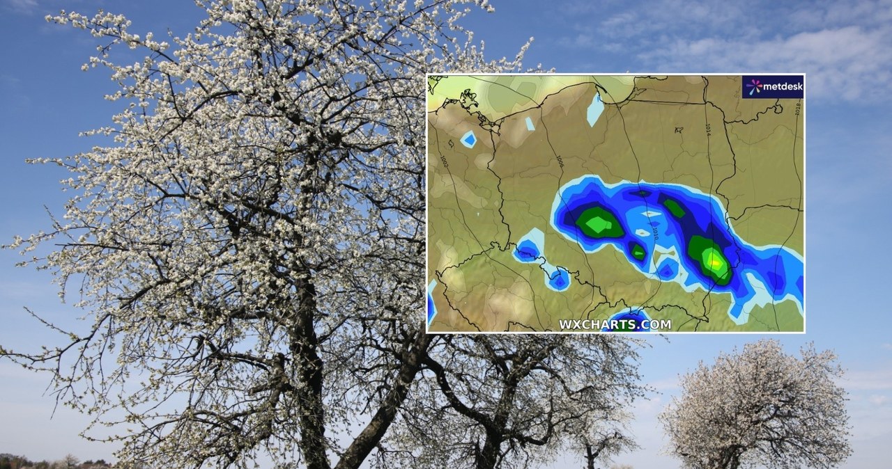 Wtorek będzie ciepły, ale w wielu miejscach również pochmurny i deszczowy. Pogoda nie wszędzie będzie nam sprzyjać /PAP/Krzysztof Świderski/WXCHARTS /