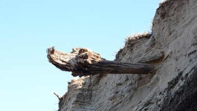 Wulkany wpłynęły na klimat bardziej niż myśleliśmy