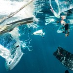 WWF: plastik odpowiada za 60 proc. zanieczyszczeń oceanów