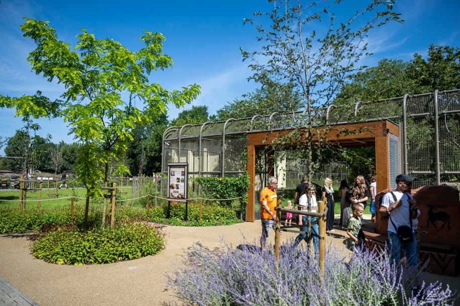 Wybieg dla lwów we wrocławskim zoo /Maciej Kulczyński /PAP