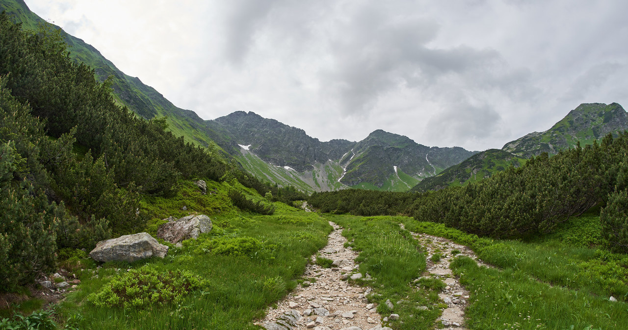 Wybierając się w Tatry, należy pamiętać, że poszczególne szlaki będą zamknięte od listopada /123RF/PICSEL