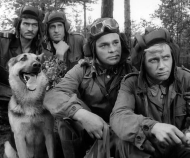 "Wybierałem zawsze drogę trudniejszą - albo grać to, co mnie interesuje, albo wcale" - powiedział kiedyś Roman Wilhelmi. 3 listopada 2016 roku mija 25 lat od śmierci tego wybitnego aktora teatralnego, filmowego i telewizyjnego.

Zadebiutował w filmie w 1957 roku epizodem w "Eroice" Andrzeja Munka. Popularność przyniosła mu rola Olgierda w serialu "Czterej pancerni i pies" Konrada Nałęckiego (1966). "Nie lubił tego serialu, nie chciał zaszufladkowania. Pamiętam, że często zastanawiał się, dlaczego zdecydował się na rolę w tym filmie. Był szczęśliwy, gdy jego produkcja się skończyła" - przyznał po latach brat aktor, Adam Wilhelmi.