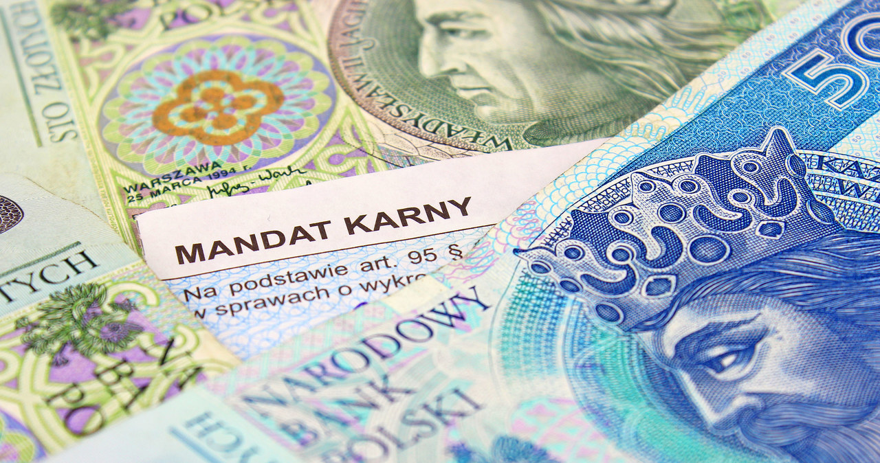 ​Wybierasz się na jagody do lasu? Uważaj, możesz dostać kilkaset złotych mandatu /123RF/PICSEL
