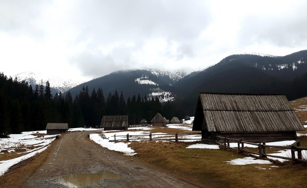Wybierasz się w Tatry? Ważna informacja ws. Polany Chochołowskiej