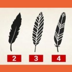 Wybierz jedno pióro z pięciu. Dowiesz się ważnej rzeczy o sobie