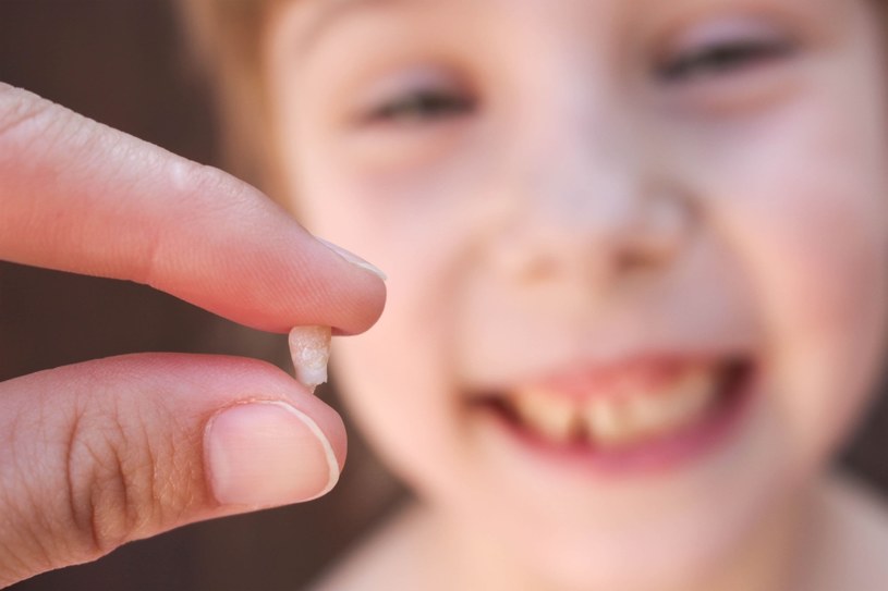 Wybity ząb u dziecka to jeszcze nie koniec świata /123RF/PICSEL