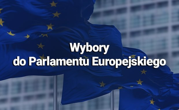 Wybory do Parlamentu Europejskiego