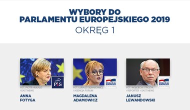 Wybory do PE. Mandaty w poszczególnych okręgach