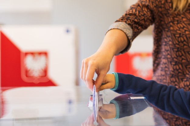 Wybory parlamentarne coraz bliżej /Shutterstock