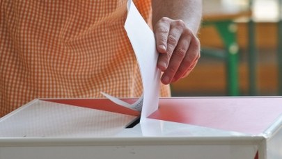Wybory samorządowe. Kto weźmie miasta? Sondaż