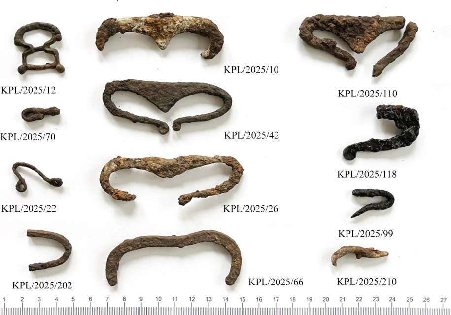 Wybrane metalowe zabytki - krzesiwa kabłąkowe, sprzączki do pasa. Zabytki datowane na okres wczesnego średniowiecza (XI-XIII wiek). Stan przed konserwacją. Fot. M. Piotrowski /Lubelski Wojewódzki Konserwator Zabytków  /