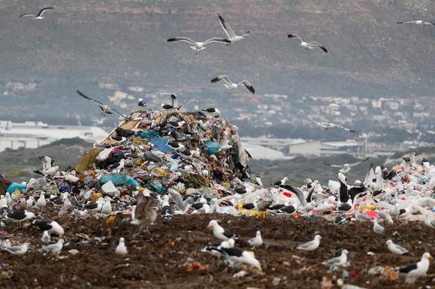Wybrzeża Afryki. Sterty plastikowych opakowań nad brzegiem oceanu /PAP/EPA