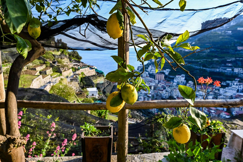 Wybrzeże Amalfi we Włoszech /ANDREAS SOLARO / AFP /East News