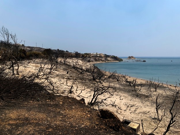 Wybrzeże w Kiotari na Rodos po przejściu pożarów /DAMIANIDIS LEFTERIS  /PAP/EPA