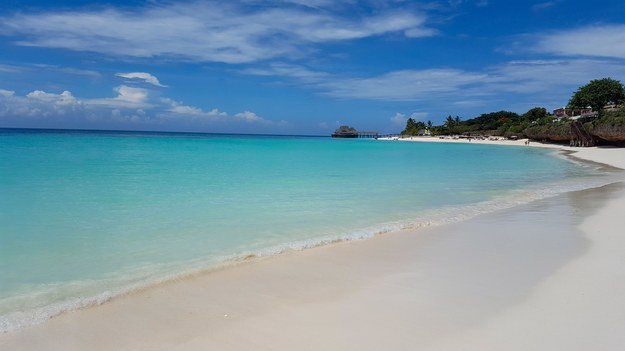 Wybrzeże Zanzibaru /Shutterstock