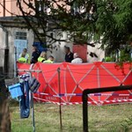Wybuch na terenie ogródków działkowych w Szczecinie. Zginął mężczyzna