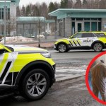 Wybuch przed ambasadą USA w Oslo. Nowe informacje