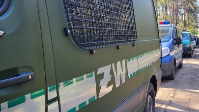 Wybuch w lesie pod Radomiem. Rzecznik rządu uspokaja