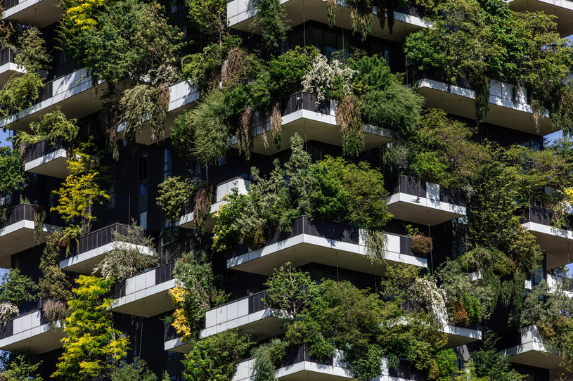 Wychodząc na balkon, możemy dosłownie zanurzyć się w zieleni drzew /Emanuele Cremaschi /Getty Images
