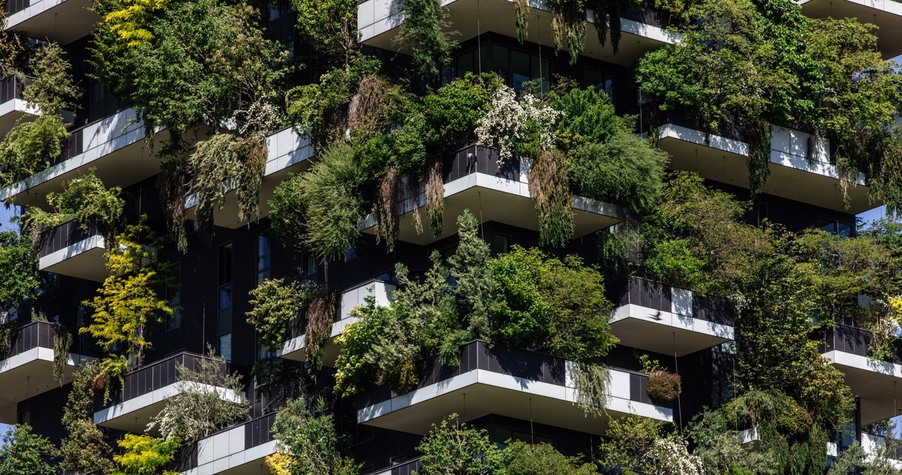 Wychodząc na balkon, możemy dosłownie zanurzyć się w zieleni drzew /Emanuele Cremaschi /Getty Images