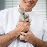 gryzonie Wyciągnął królika z klatki i poszedł z nim do kasy. Czy Polacy traktują gryzonie ze sklepów zoologicznych jak zabawki?