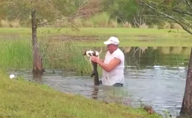 Wyciągnął psa z paszczy aligatora. Nawet nie wypuścił przy tym cygara z ust 