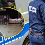 Wyciągnęli przed sklep. Bili nawet, jak ofiara przestała się ruszać