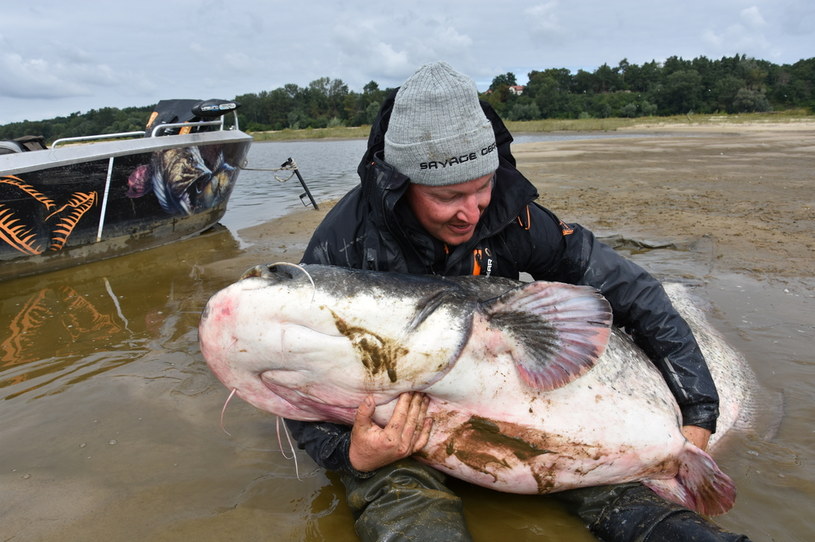 Wyciągnięcie ryby na brzeg było ogromnym wyzwaniem /Mateusz Kalkowski /materiały prasowe
