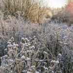 Wyciągnijcie z szafy ciepłe kurtki. Nadciągają przymrozki