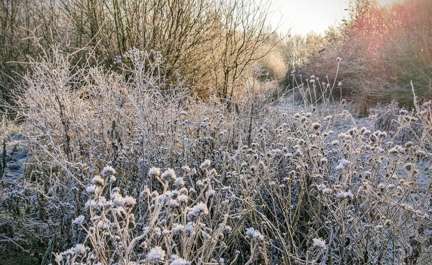Wyciągnijcie z szafy ciepłe kurtki. Nadciągają przymrozki