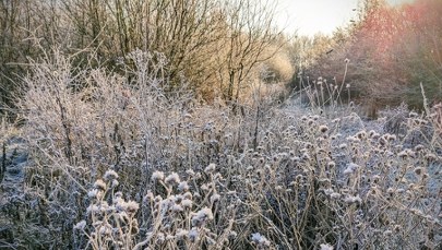 Wyciągnijcie z szafy ciepłe kurtki. Nadciągają przymrozki