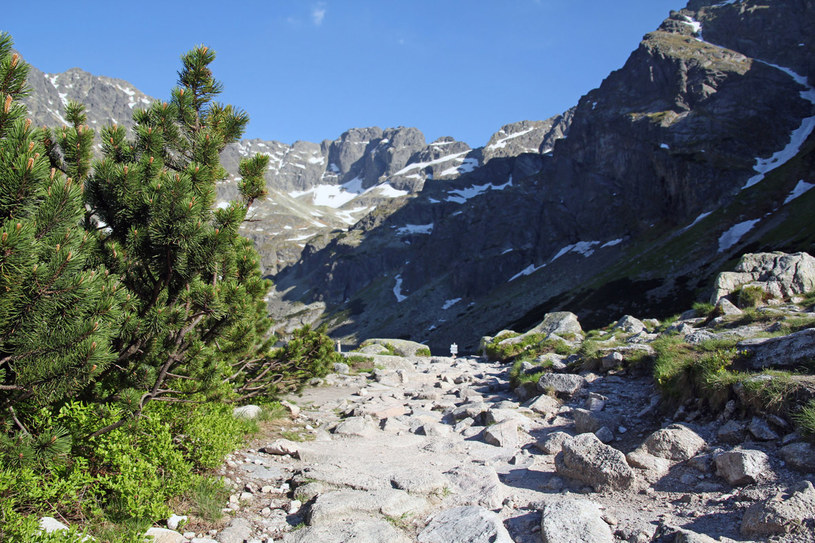 Wycieczka w Tatry? Pamiętaj, by dobrze się przygotować /123RF/PICSEL