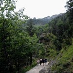 Wycieczki z przewodnikiem po Tatrach zupełnie za darmo. Sprawdź, gdzie się zapisać