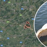 Wyciek 10 tys. litrów oleju. Długość plamy liczą w kilometrach
