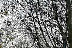 Wyciek gazu na Komandosów w Krakowie