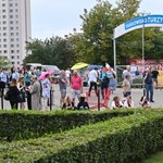 Wyciek gazu w Szczecinie. Ewakuowano 400 osób