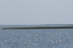 Wyciek ropy nie dotyka wybrzeży Zatoki Meksykańskiej