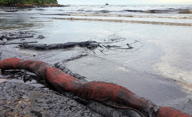 Wyciek ropy zabija zwierzęta i zagraża ludziom. To może być dopiero początek