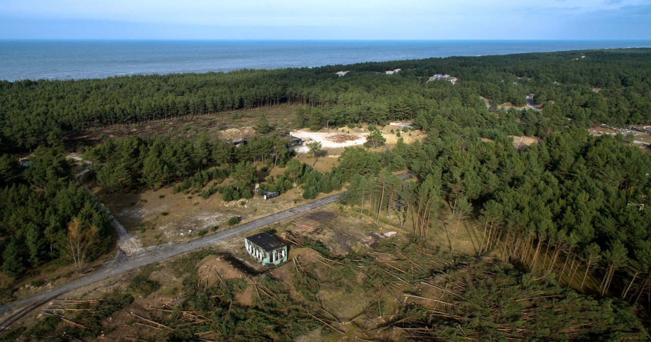 Wycięli las w Łebie. Zapadł wyrok w głośnej sprawie
