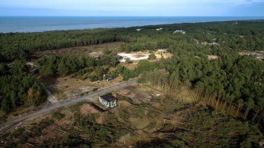 Wycięte drzewa na prywatnym, powojskowym terenie we wschodniej części Łeby, zdjęcie z 2017 roku / 	Leszek Szymański    /PAP